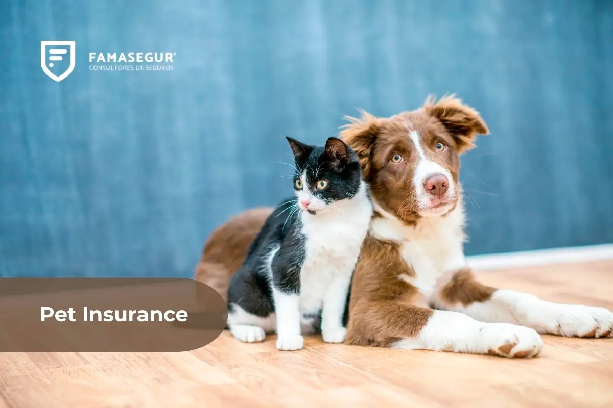 Pet Insurance