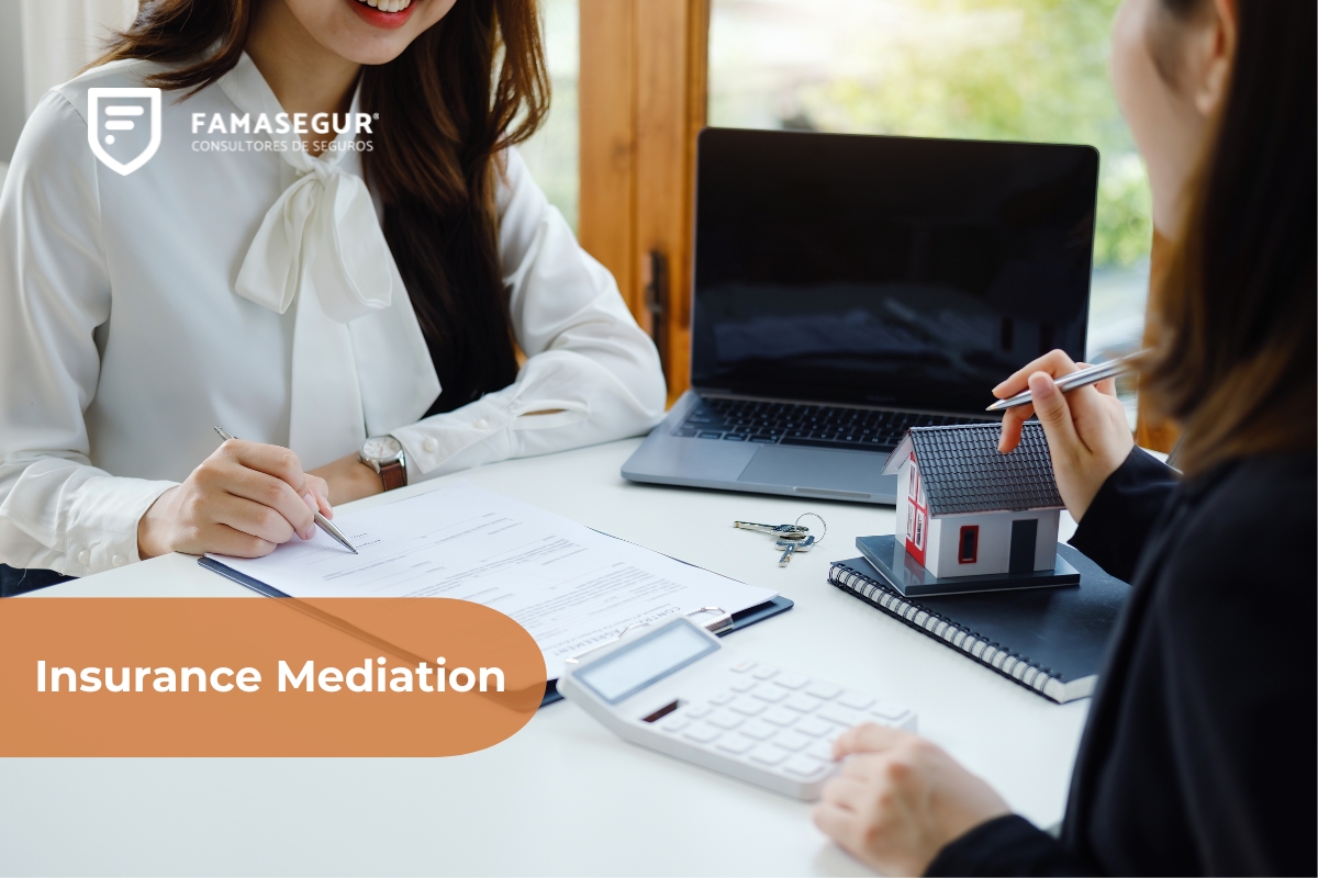 Insurance Mediation